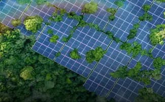 India Net-Zero Zone